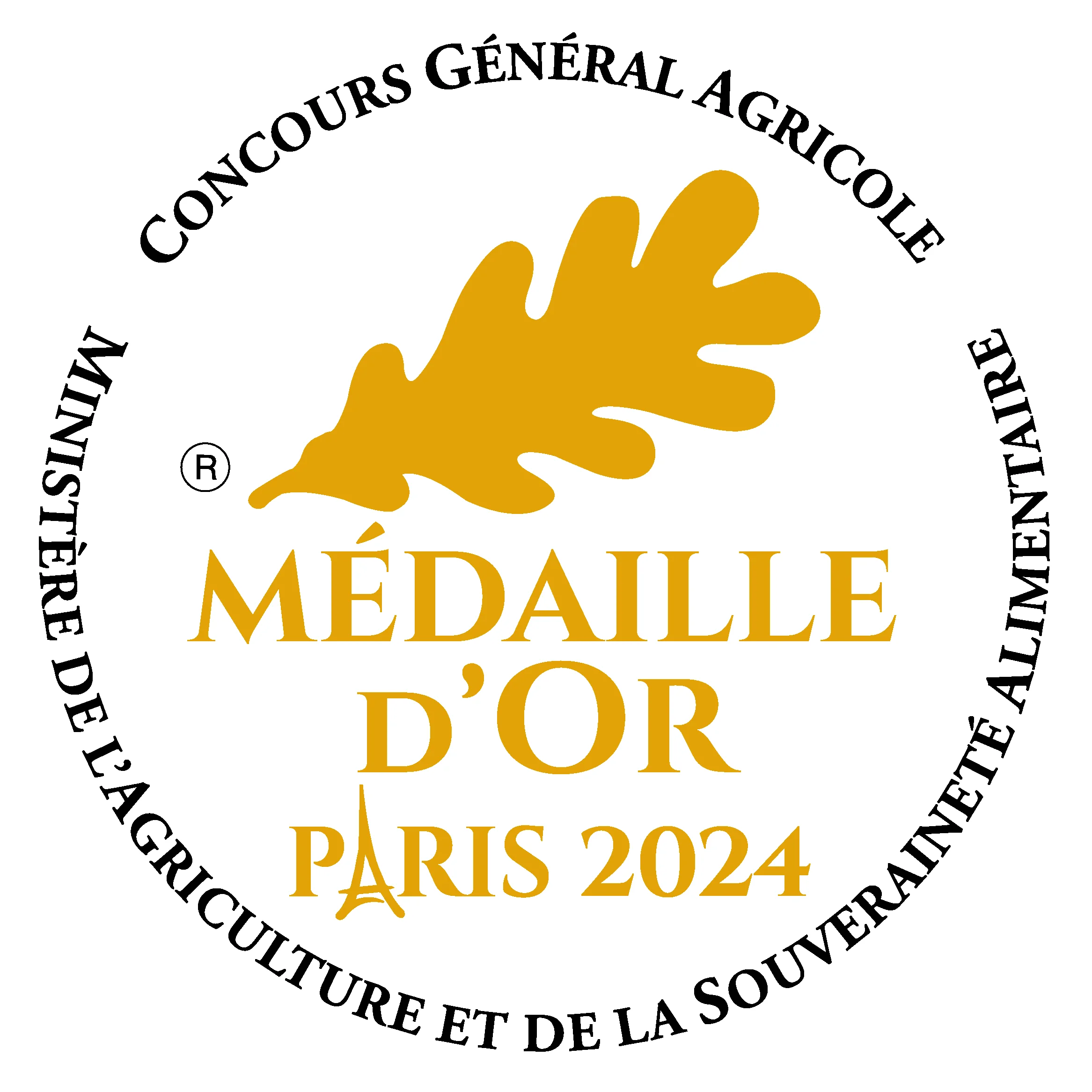 Miel de sapin – Image 5
