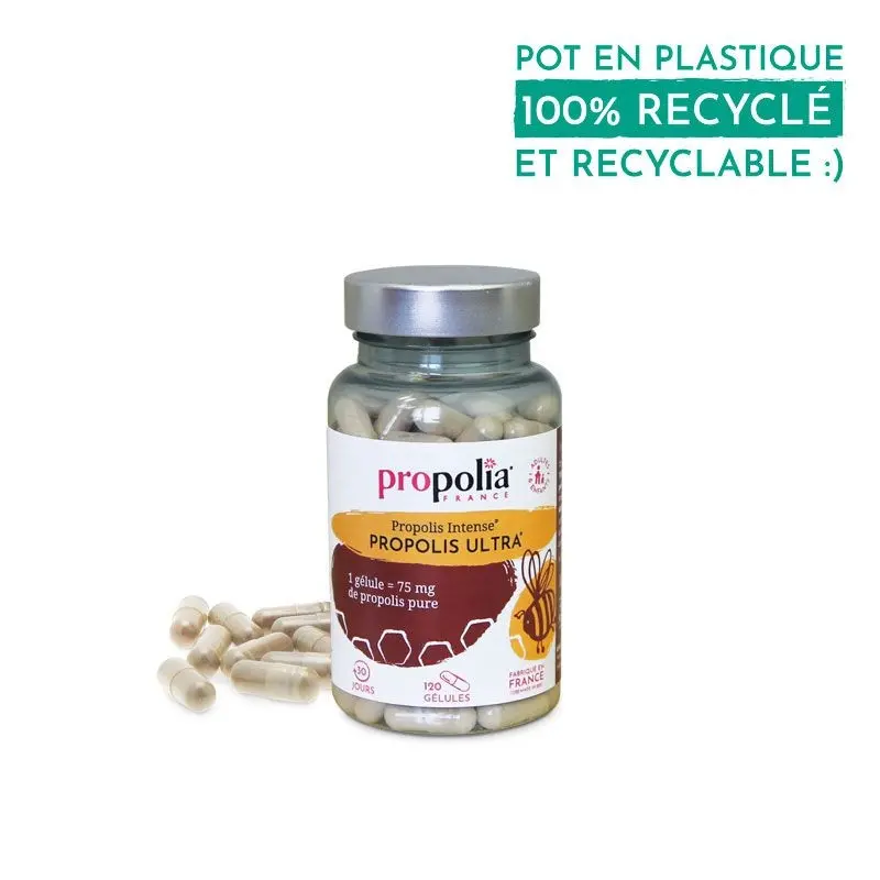 Gélule propolis ultra